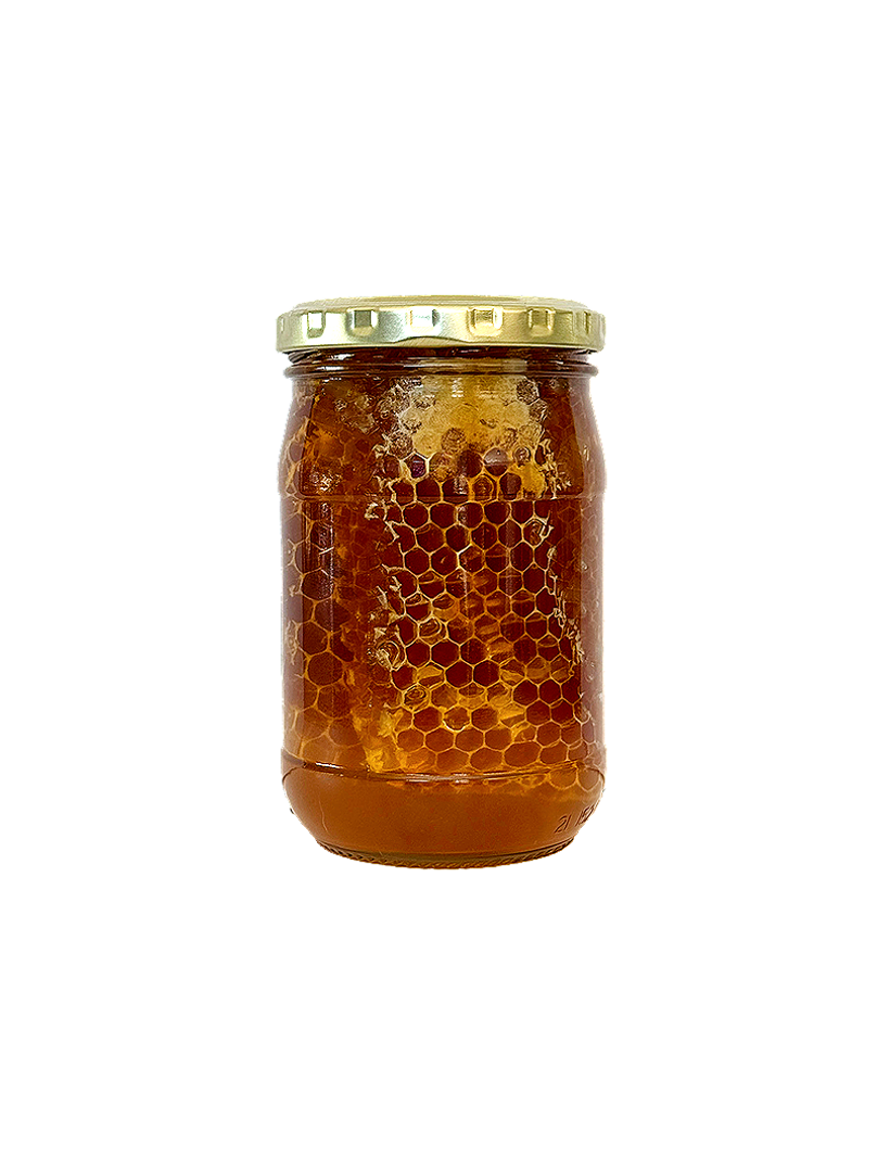 Honey Comb in Honey